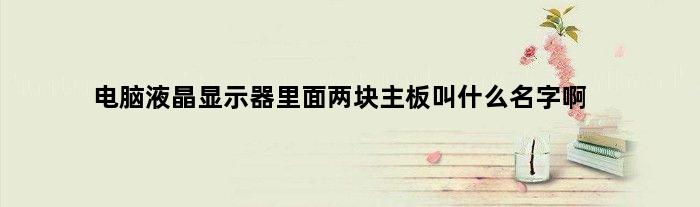 电脑液晶显示器里面两块主板叫什么名字啊(电脑液晶显示器里面两块主板叫什么名字)