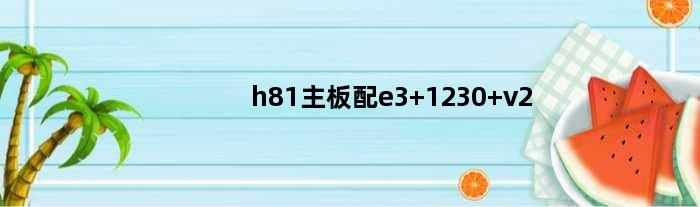 h81主板配e3 1230 v2(h81主板配e3 1240 v3能跑满吗)