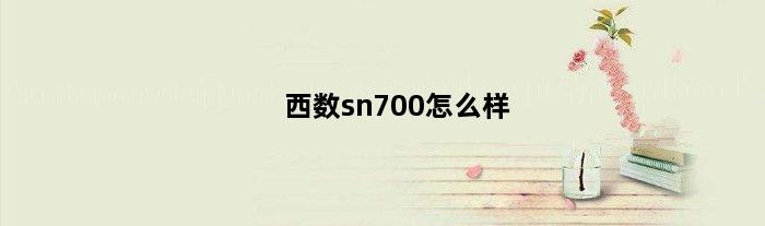 西数sn700怎么样(西数sn770能用在苹果笔记本吗)