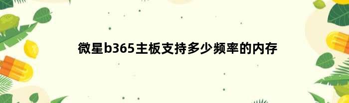 微星b365主板支持多少频率的内存(微星b365可以配3200频率内存能用吗)