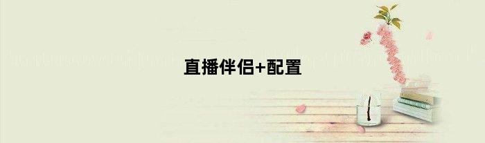 直播伴侣 配置(直播伴侣最低配置)