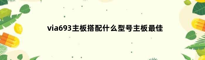 via693主板搭配什么型号主板最佳(via693配什么主板)