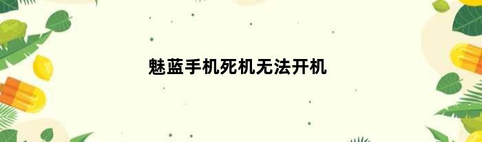 魅蓝手机死机无法开机(魅蓝5手机经常不能开机)