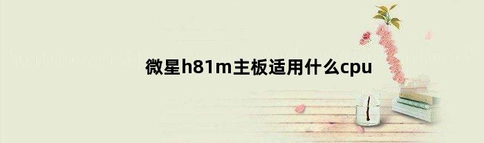 微星h81m主板适用什么cpu(微星h81e33主板支持m2吗)