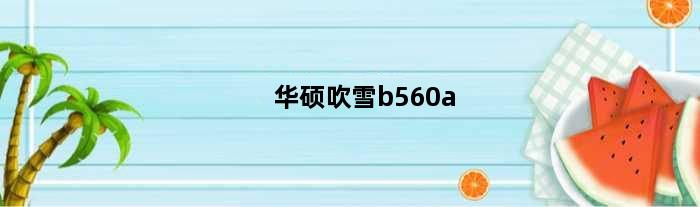 华硕吹雪b560a(华硕b660吹雪支持多少内存频率)