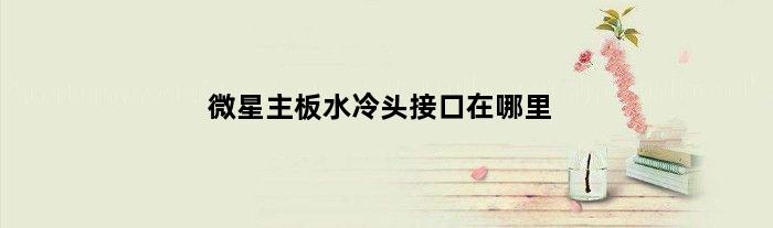 微星主板水冷头接口在哪里(微星主板水冷泵接哪个口)