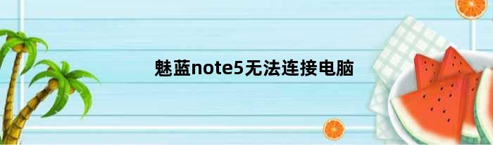 魅蓝note5无法连接电脑(魅蓝5不能连接电脑怎么回事)