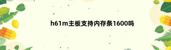 h61m主板支持内存条1600吗(h610主板上3600频率内存可以开机吗)