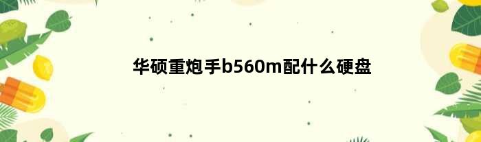 华硕重炮手b560m配什么硬盘(华硕重炮手b660选哪个版本)