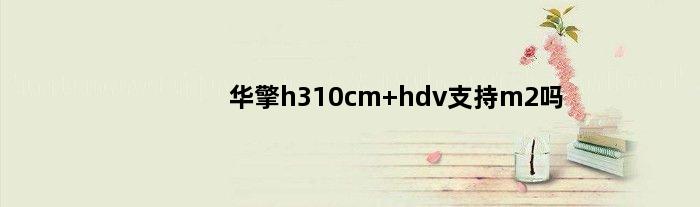 华擎h310cm hdv支持m2吗(请问华擎MHDSH110主板支持HD630吗)