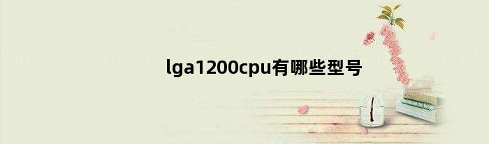 lga1200cpu有哪些型号(lga1200cpu和lga1700主板能一起用吗)