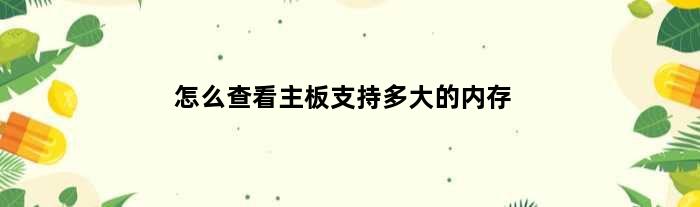 怎么查看主板支持多大的内存(怎么看主板支持多大的硬盘)